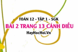 Bài 2 trang 13 Toán 12 tập 1 Cánh Diều